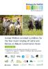 Animal Welfare-oriented Guidelines for the Year-round Grazing of Cattle and Horses on Nature Conservation Areas