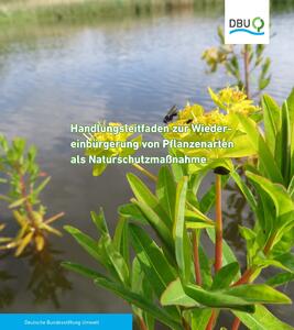 Handlungsleitfaden zur Wiedereinbürgerung von Pflanzenarten als Naturschutzmaßnahme