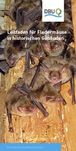 Leitfaden für Fledermäuse in historischen Gebäuden
