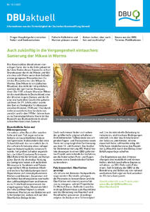 DBU aktuell Nr. 10, 2020