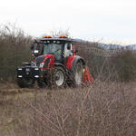 Mulchmaschine am Ebenberg © Ingo Karius/ Bundesforst