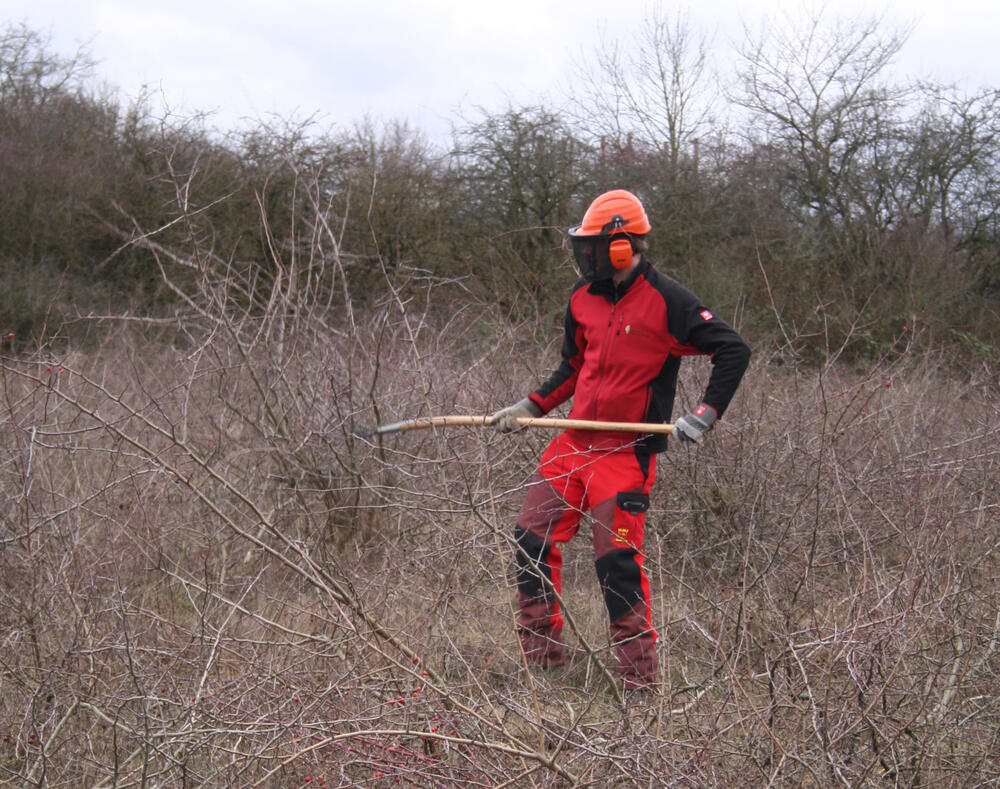 Freischneider am Ebenberg © Ingo Karius/ Bundesforst