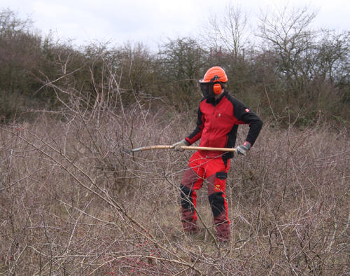 Freischneider am Ebenberg © Ingo Karius/ Bundesforst