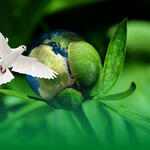 375 Jahre Westfälischer Frieden © Deutsche Bundesstiftung Umwelt