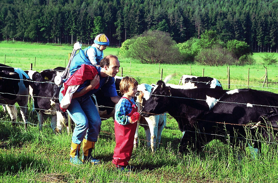 Vater und Kinder begucken Kühe 