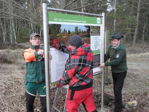 Infotafel für DBU-Naturerbefläche Oranienbaumer Heide © Bundesforst