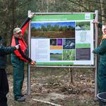 Infotafel für die DBU-Naturerbefläche Glücksburger Heide © Bundesforst
