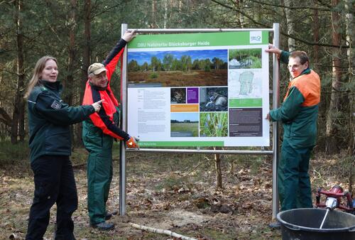Infotafel für die DBU-Naturerbefläche Glücksburger Heide © Bundesforst