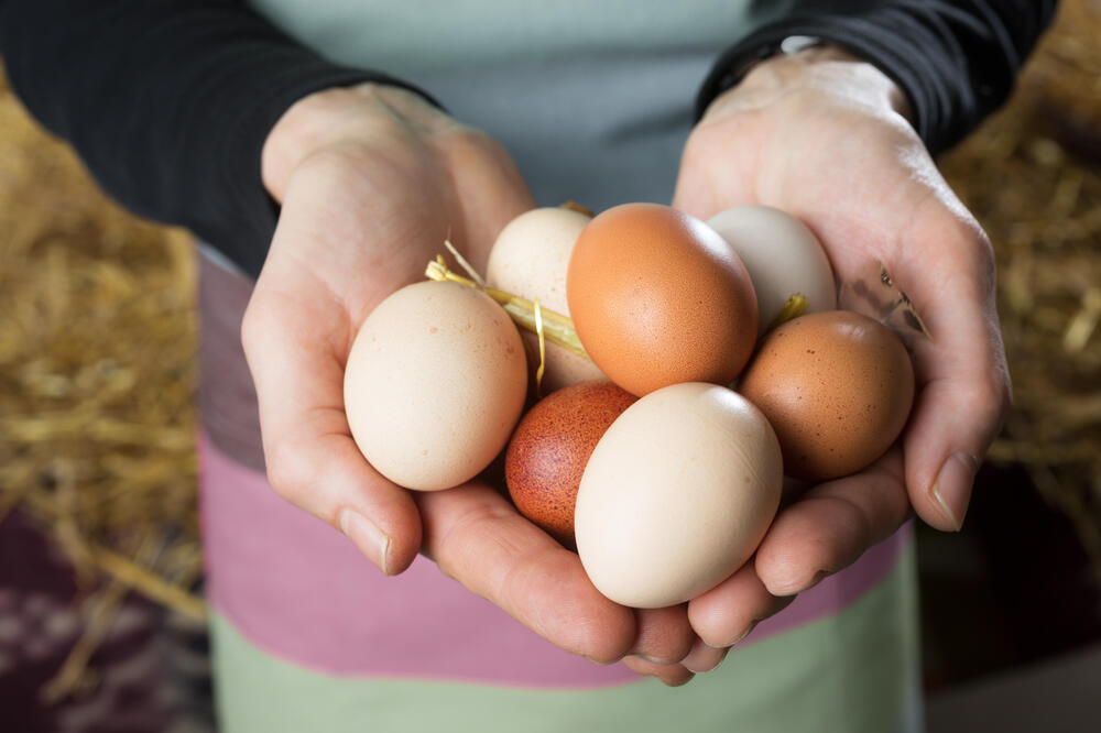 Hände mit Hühnereiern © Fotolia_Ingo Bartussek