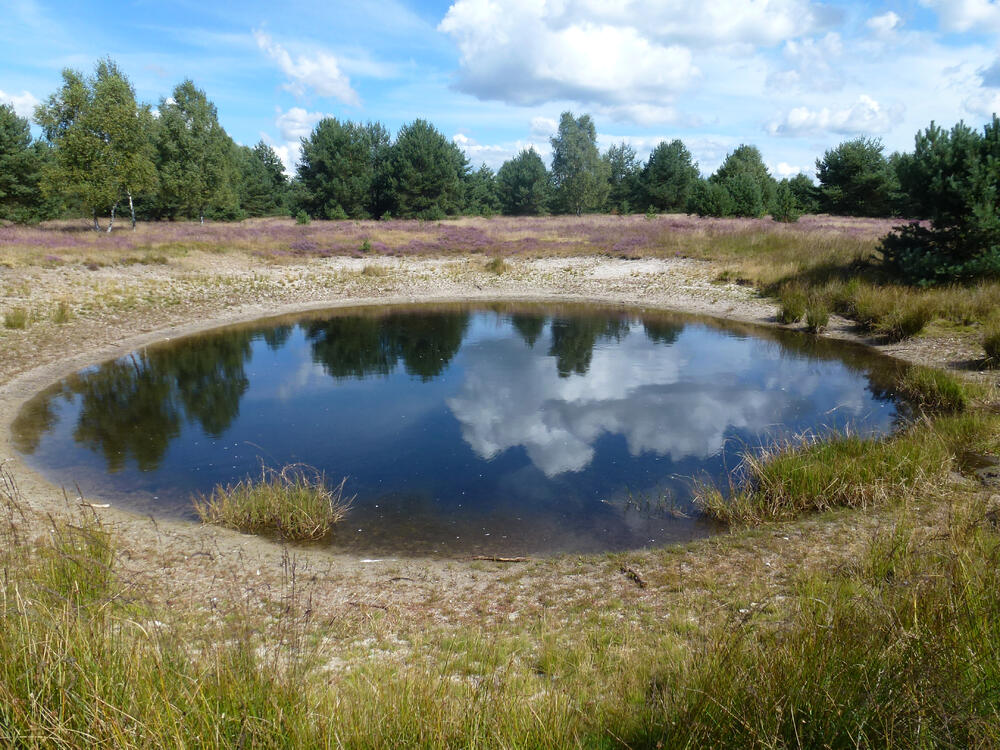 Bombentrichter © Jörg Tillmann / DBU Naturerbe