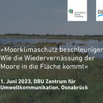 Moor © Stiftung Lebensraum Moor, https://doi.org/10.24359/yv7k-ay19