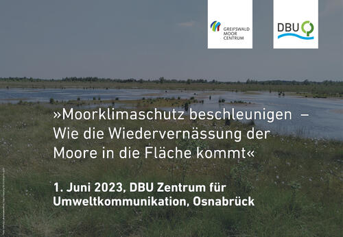 Moor © Stiftung Lebensraum Moor, https://doi.org/10.24359/yv7k-ay19