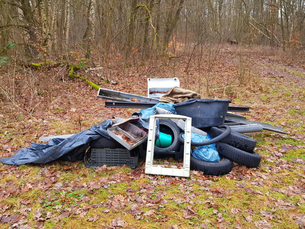 Müll im Wald © Katja Behrendt/DBU Naturerbe