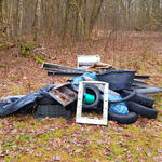 Müll im Wald © Katja Behrendt/DBU Naturerbe