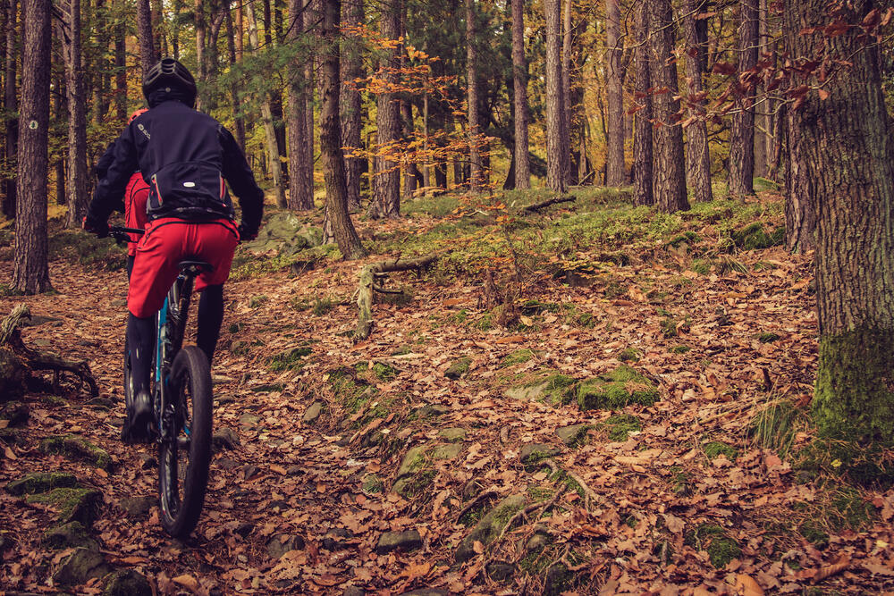 Mountainbike im Wald &copy; pixelfreund - stock.adobe.com