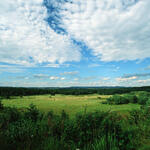 Naturerbefläche Tennenlohe © DBU Naturerbe GmbH / Norbert Rosing