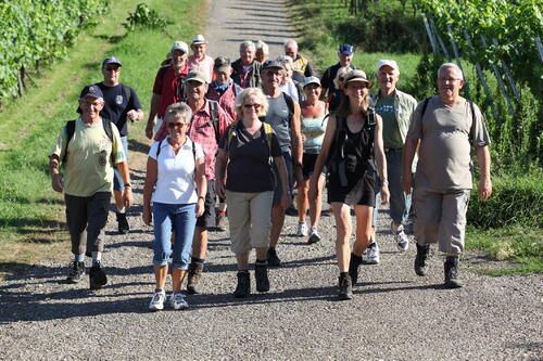 10.000.000 Schritte - DBU überall in Deutschland &copy; Dr. Heidi Lehmal