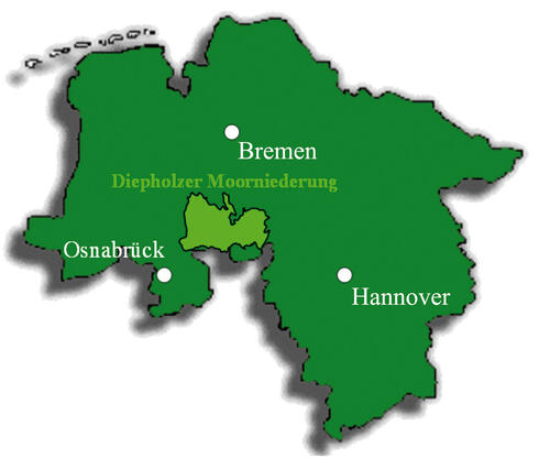 DBU-Aktuell 07-08/08 