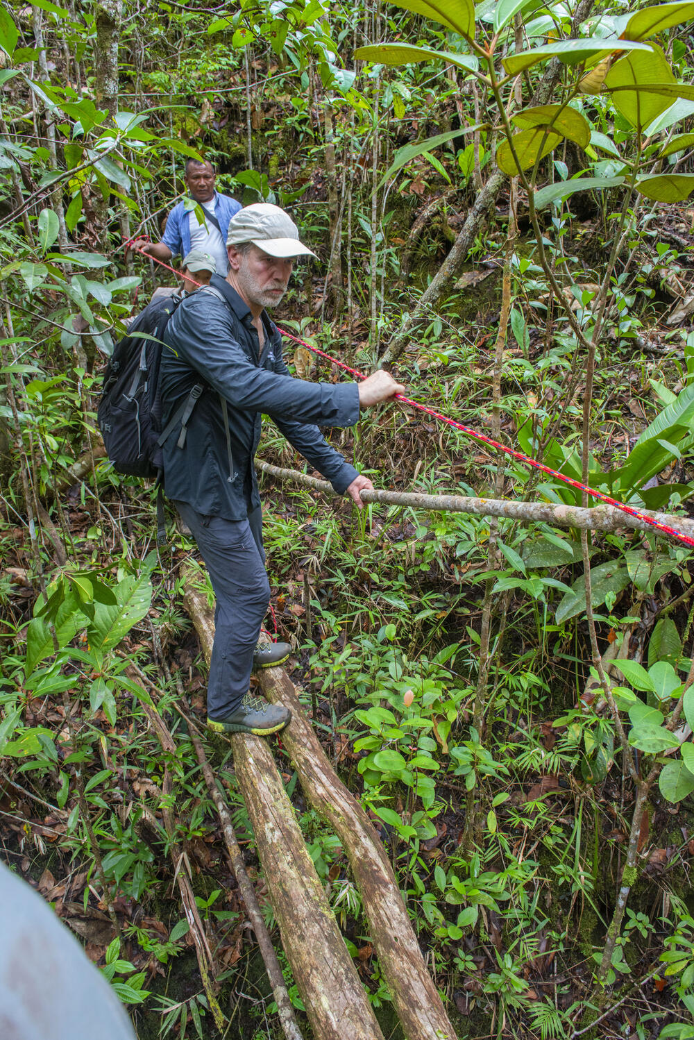Christof Schenck auf einem Baumstamm © Daniel Rosengren/ZGF