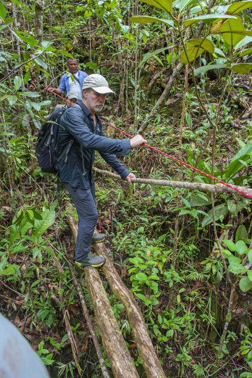 Christof Schenck auf einem Baumstamm © Daniel Rosengren/ZGF