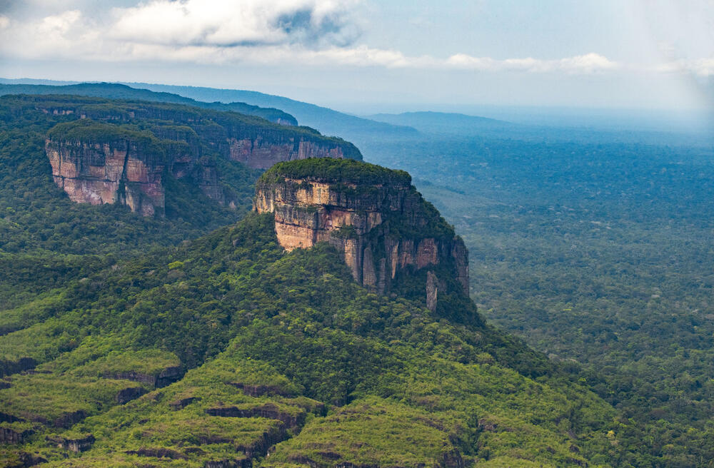 Regenwald © Daniel Rosengren/ZGF