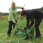 Bergwaldprojekt Peenemünde © Bergwaldprojekt e.V.