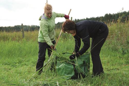 Bergwaldprojekt Peenemünde © Bergwaldprojekt e.V.
