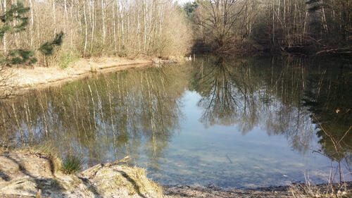 DBU-Naturerbefläche Herongen © Wahmhoff/DBU