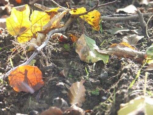 Boden &copy; Deutsche Bundesstiftung Umwelt