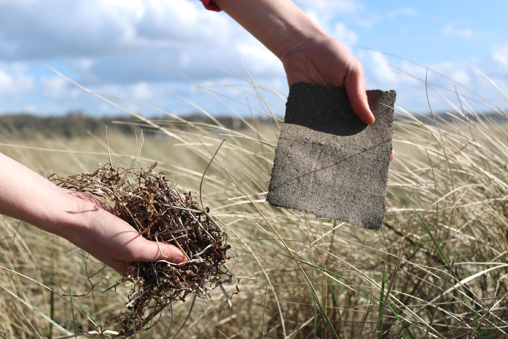 Das Team von rematter nutzt Seegras als Grundlage für nachhaltige Papierboxen oder Lampenschirme. © yooweedoo