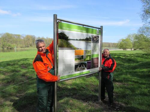 Infotafeln für DBU-Naturerbefläche Roßlauer Elbauen © Bundesforst