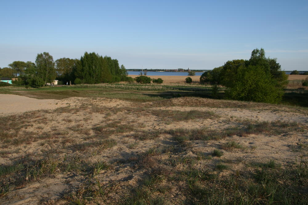 Altwarper Binnendüne © Dominik Poniatowski/DBU Naturerbe