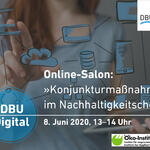 #DBUdigital Online-Salon „Konjunkturmaßnahmen im Nachhaltigkeitscheck  © Deutsche Bundesstiftung Umwelt