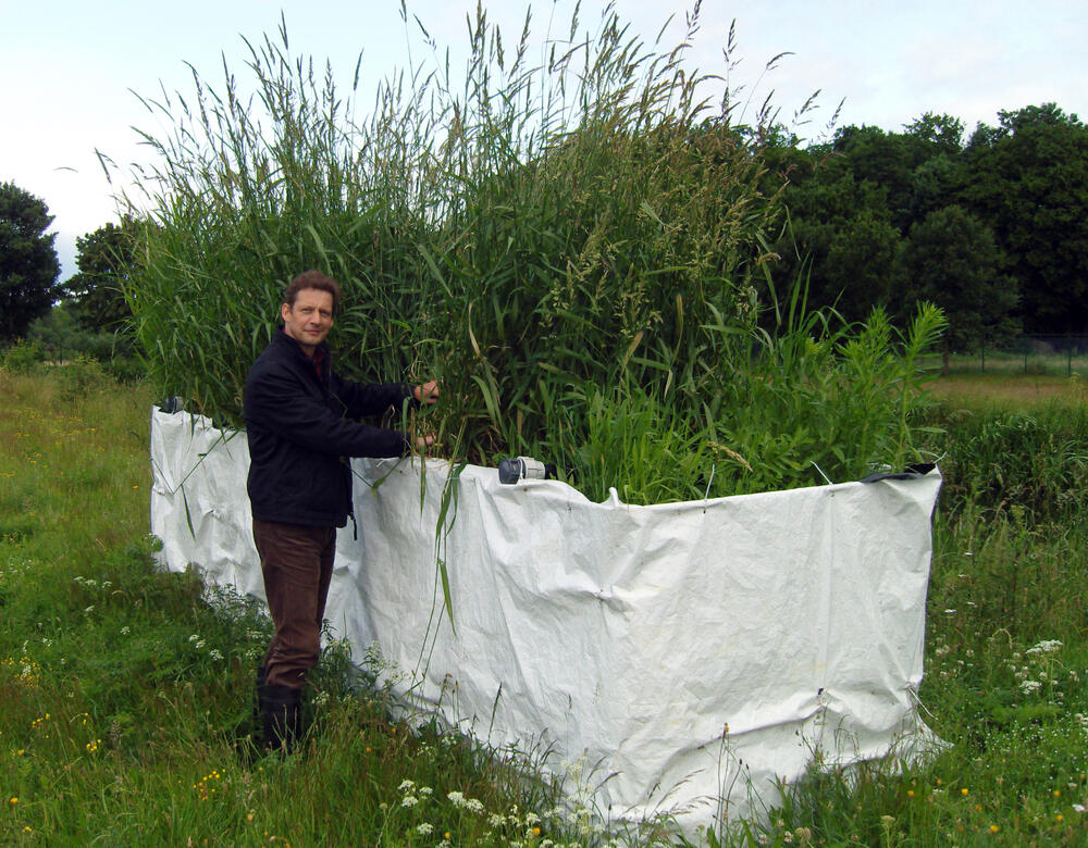 Dr. Ingo Dobner &copy; Zentrum für Umweltforschung und nachhaltige Technologien (UFT) der Universität Bremen 