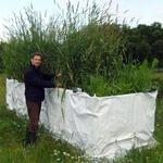 Dr. Ingo Dobner &copy; Zentrum für Umweltforschung und nachhaltige Technologien (UFT) der Universität Bremen 