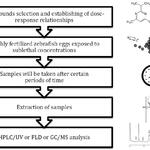 Jarosz_ChemikalienImZebrafisch &copy; Emil Jarosz