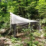 Pavlova_Pilzmücken &copy; Aneliya Pavlova