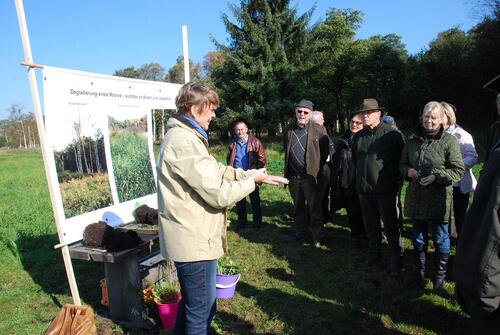 Luthardt Ueckermünder Heide 