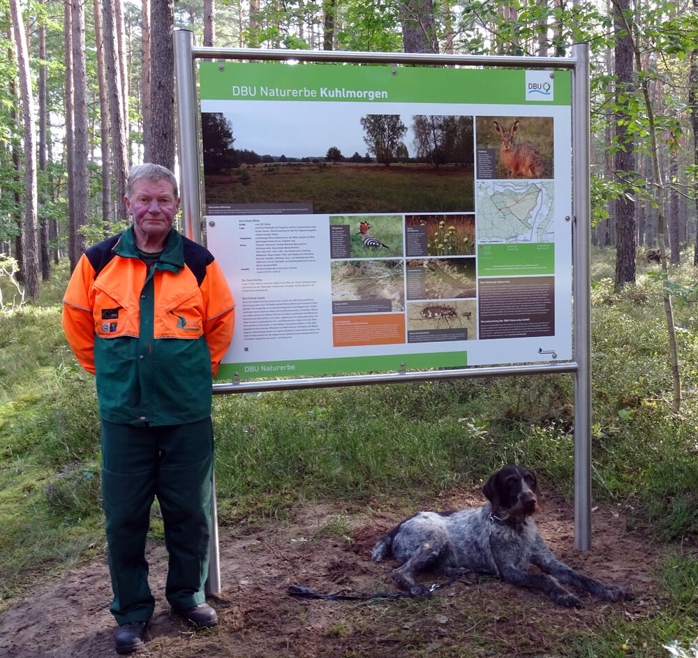 Infotafeln Kuhlmorgen © Bundesforstbetrieb Vorpommern-Strelitz