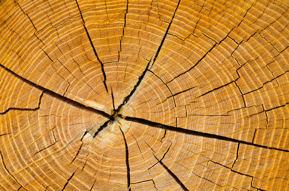 Fotolia - Holz © PHOTOERICK - Fotolia.com