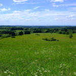 DBU-Naturerbefläche Stegskopf © Kathrin Wiener/DBU Naturerbe