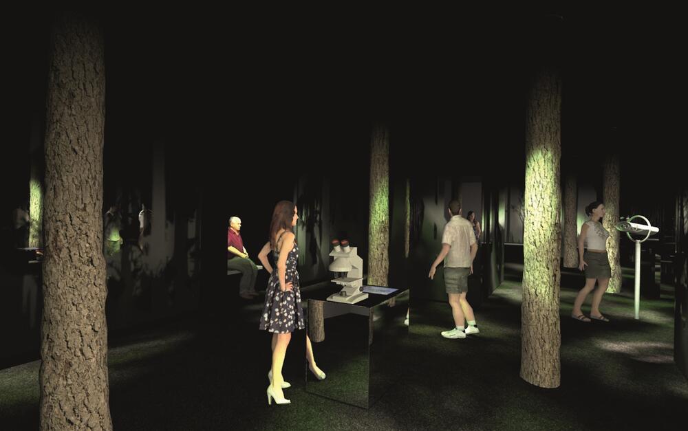 33796_Ausstellung_Visualisierung © Kunstraum