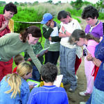 Die eigene Umwelt wieder lieben lernen 