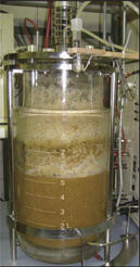 Rührkesselreaktor 