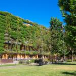 Städtische Grün- und Blaustrukturen  © Symbolfoto: Canva/Jordi C.