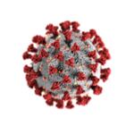 Corona, Virus  © Symbolbild: Canva/CDC