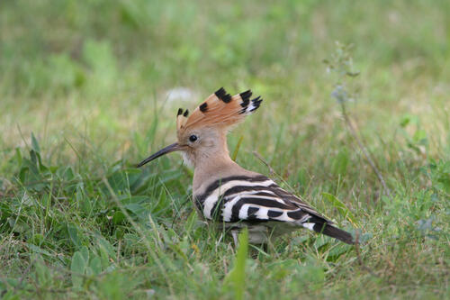 Sehen Sie selbst... © piclease/ Hans-Joachim Fünfstück