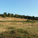 DBU-Naturerbefläche Borken © Deutsche Bundesstiftung Umwelt