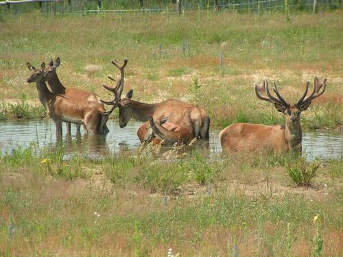 Sehen Sie selbst... &copy; Peter Nitschke - Heinz-Sielmann-Stiftung