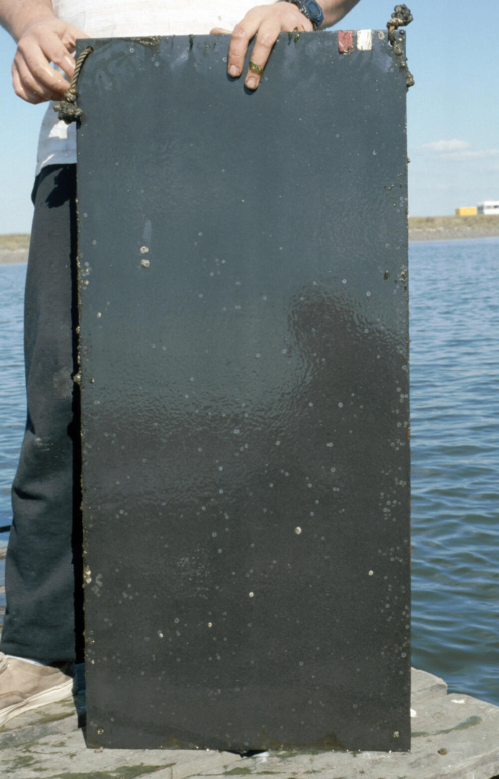 Sportboot Reinigung &copy; LimnoMar